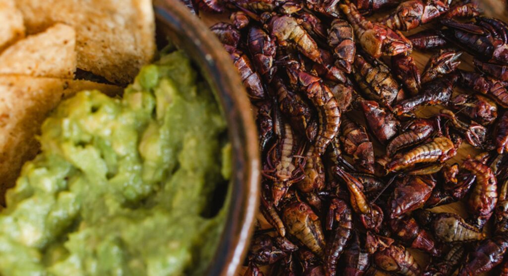 Comida extraña de México: el Chapulin