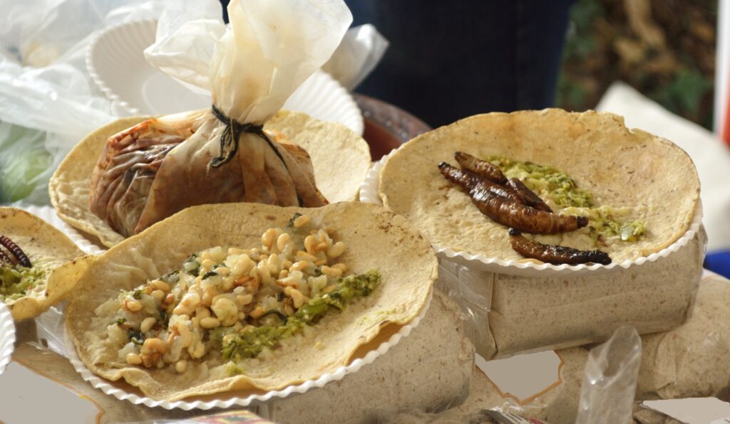 Escamoles: plato raro y tradicional mexicano
