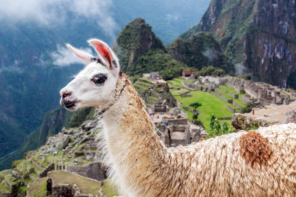 comprar la entrada a Machu Picchu este 2021