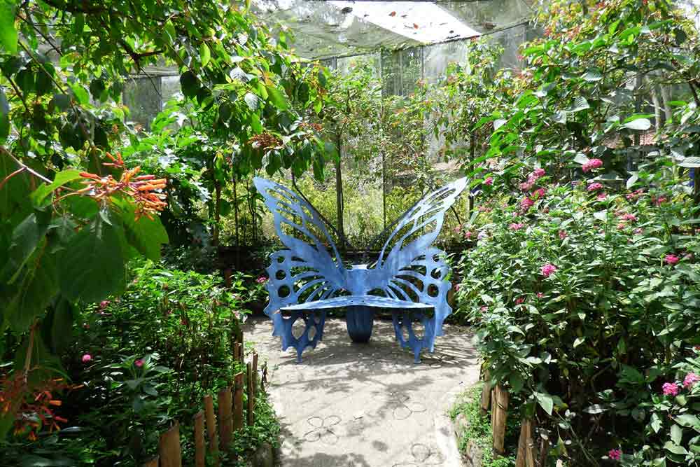 Mariposario jardín botánico Quindio
